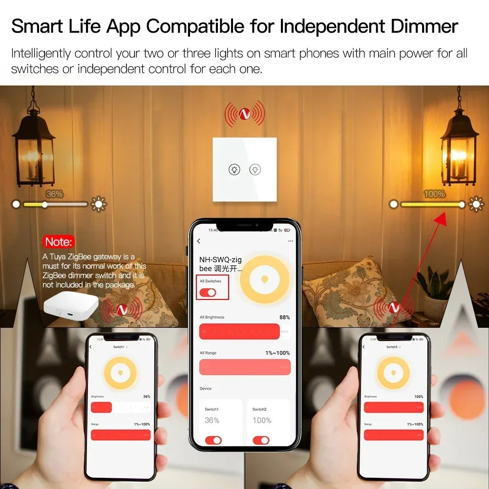 Lumina Command Nuvox: Multi-Zone Dimmer